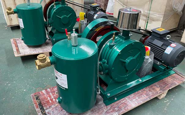 回轉(zhuǎn)式鼓風(fēng)機(jī)1